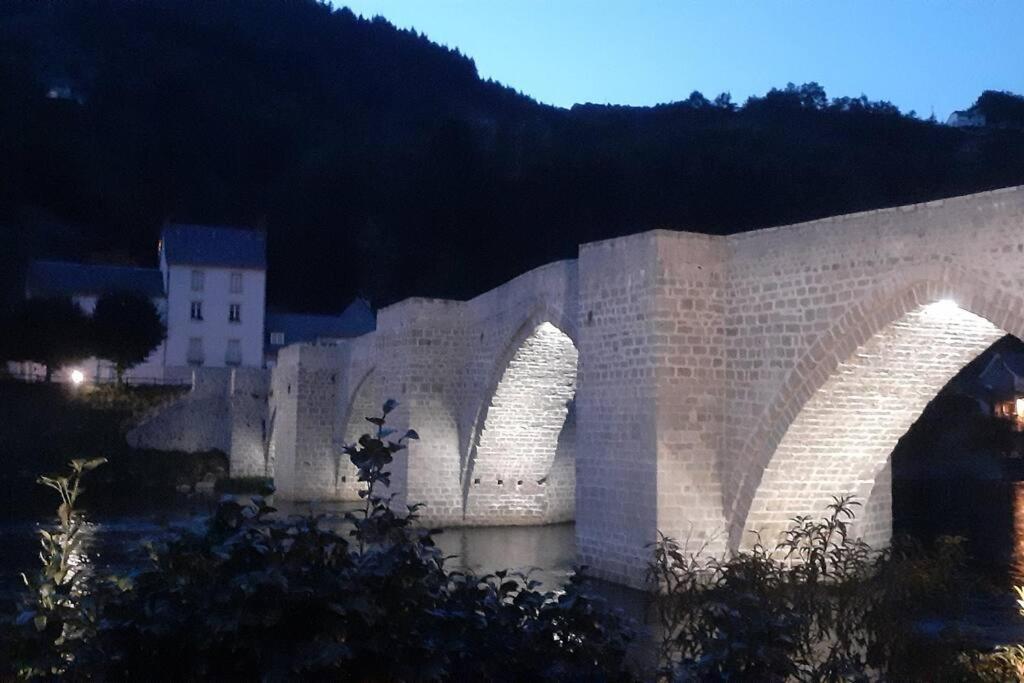 דירות Entraygues-sur-Truyère Vue Du Pont מראה חיצוני תמונה