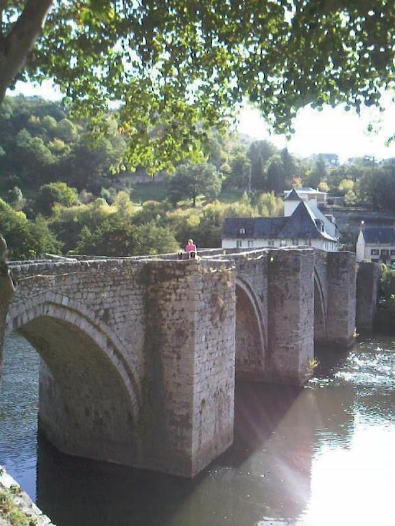 דירות Entraygues-sur-Truyère Vue Du Pont מראה חיצוני תמונה